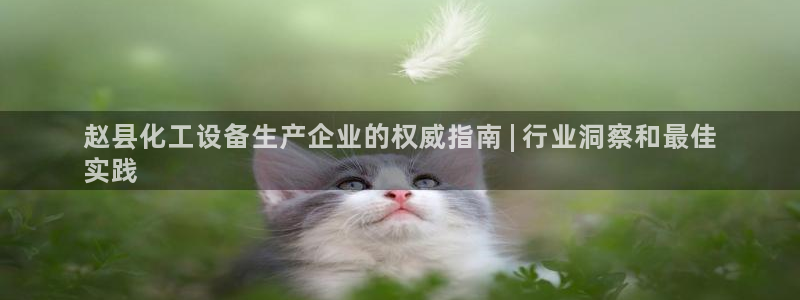 新城平台登录入口