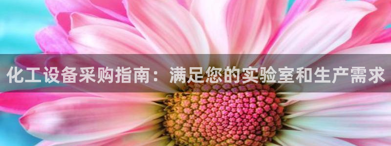 新城平台注册公司流程图