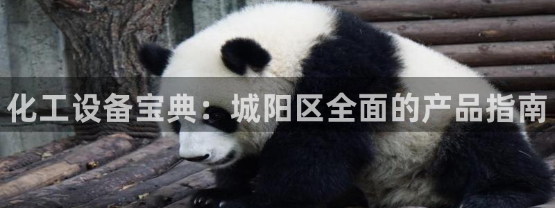 新城平台官网注册