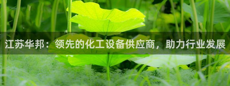 新城平台是干嘛的：江苏华邦：领先的化工设备供应商，