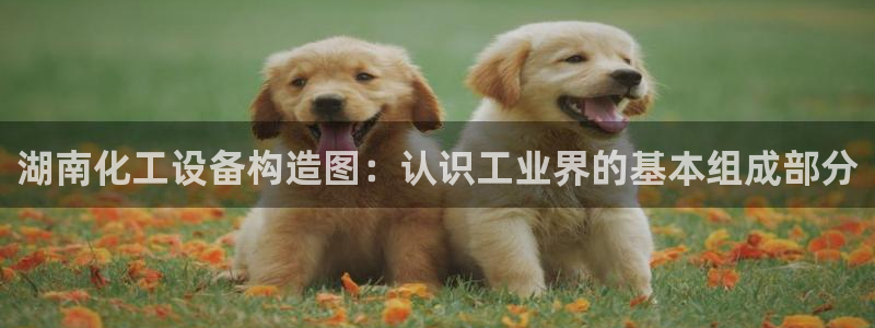 新城平台平台最新活动消息：湖南化工设备构造图：认识