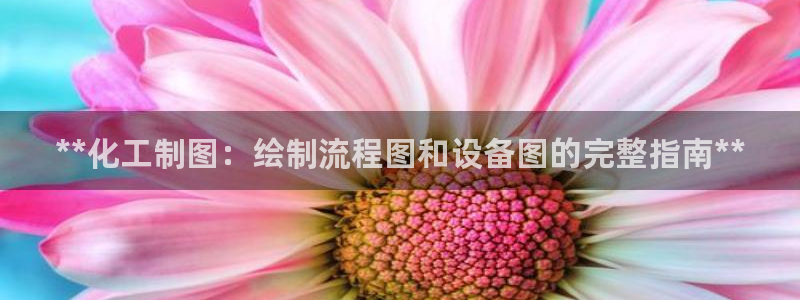 新城平台招商