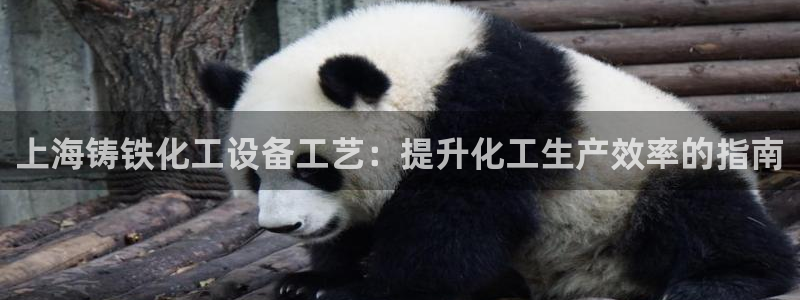 新城平台官网首页网址