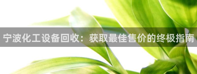 新城平台登录