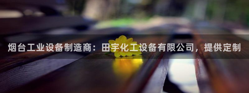 新城平台招商