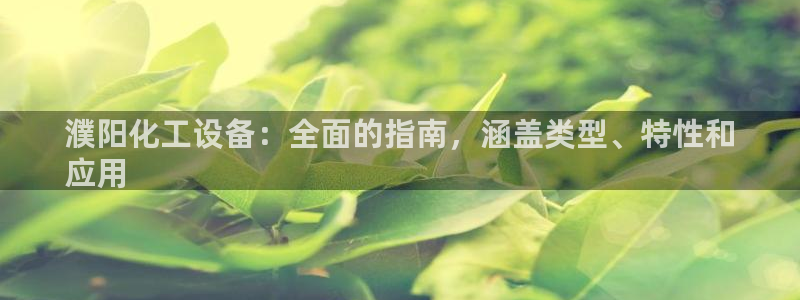 新城平台登录入口官网网址查询
