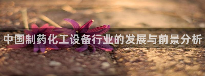 新城平台登录入口官网网址