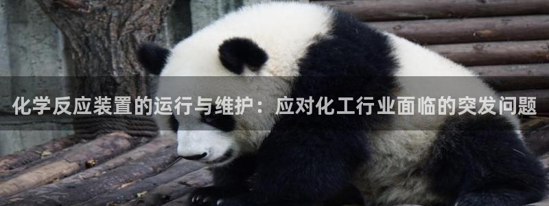 新城平台注册公司流程及费用