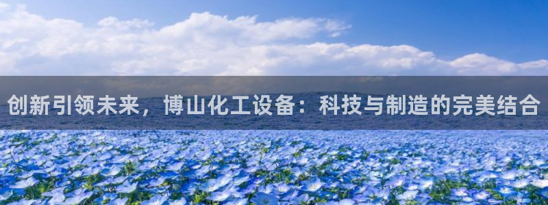 新城平台登录入口官网