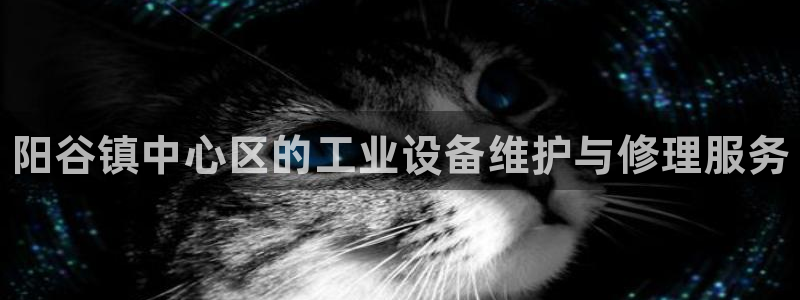 新城平台登录入口官网：阳谷镇中心区的工业设备维护与