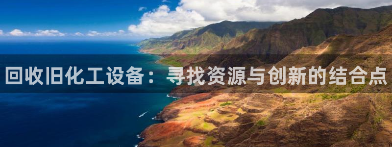 新城平台是干嘛的公司啊