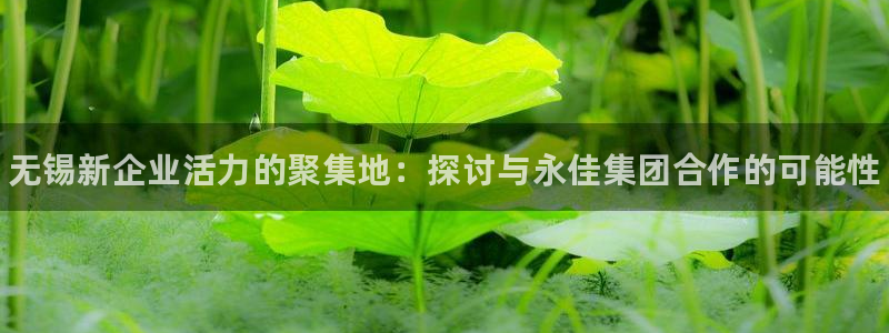 新城平台江7O777