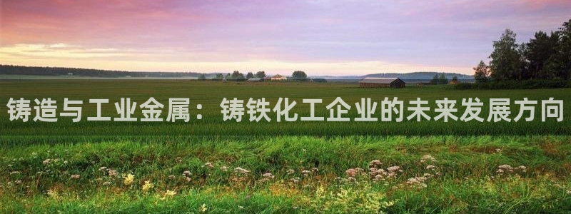 新城平台线路登录不上去怎么办呢