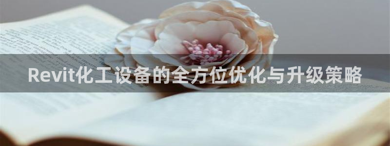 新城平台负责人电话