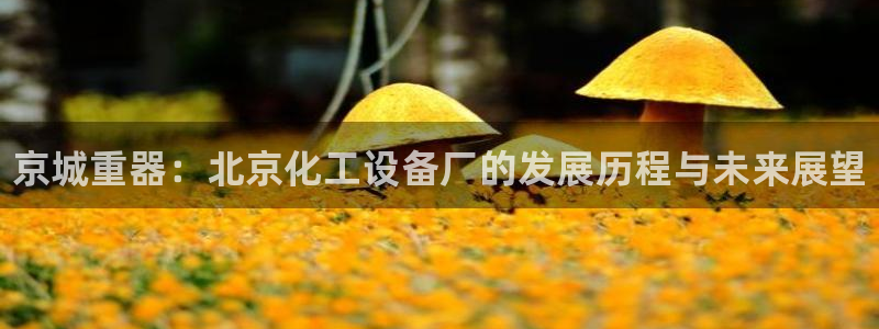 新城平台注册登录地址