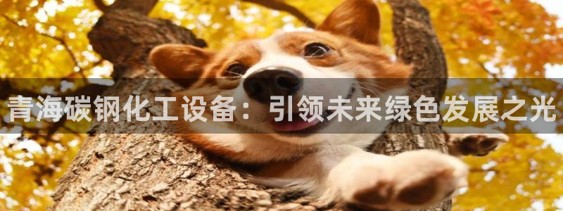 新城平台一新城注册