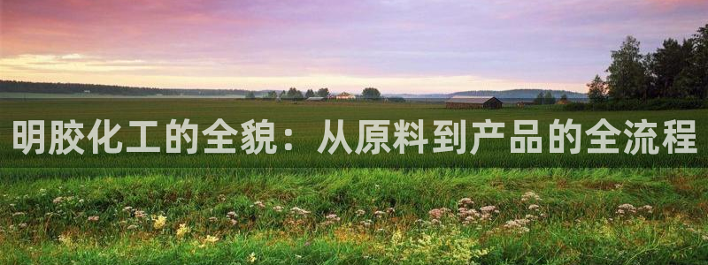 新城平台官网首页入口：明胶化工的全貌：从原料到产品