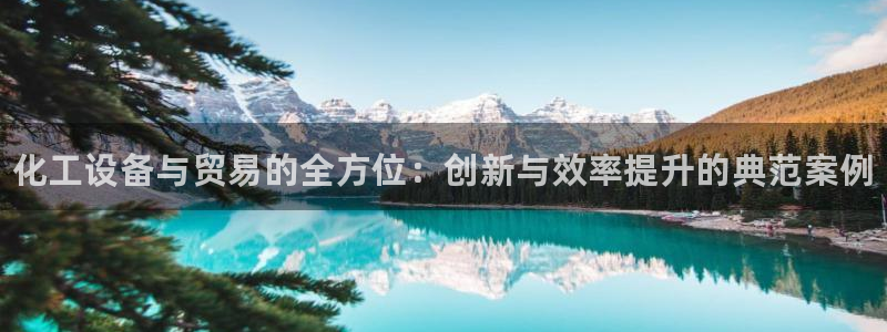 新城平台线路登录不上去怎么回事儿