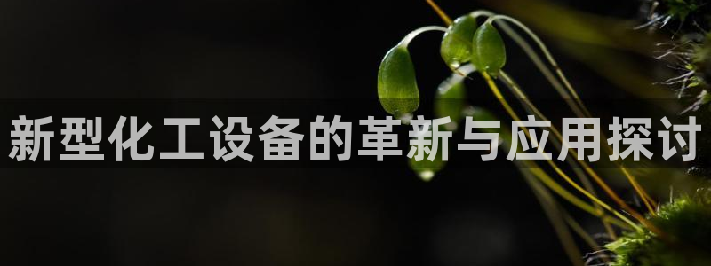 新城平台登录入口官网查询