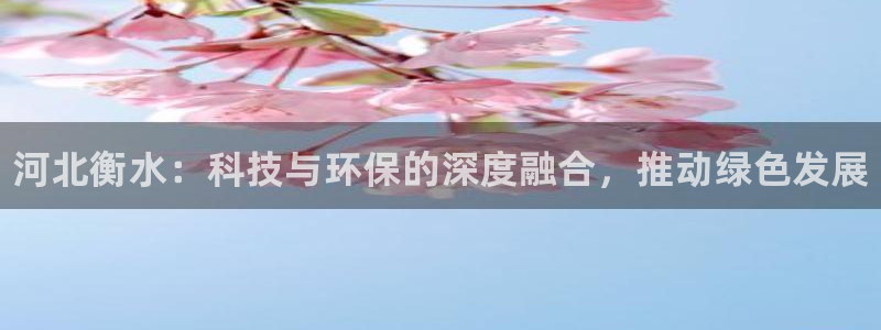 新城平台登录入口
